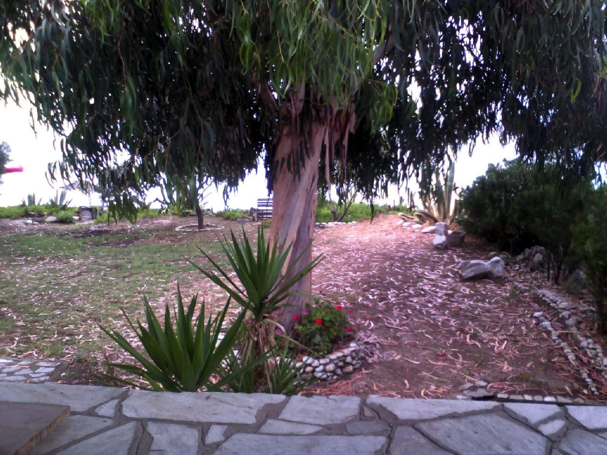 Agrelia House Villa Ouranoupoli Bagian luar foto